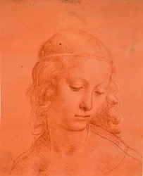 Tête de jeune fille, vers 1508-10
